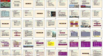 長(zhǎng)沙圣悅嘉園房地產(chǎn)項(xiàng)目營(yíng)銷(xiāo)實(shí)操策劃案